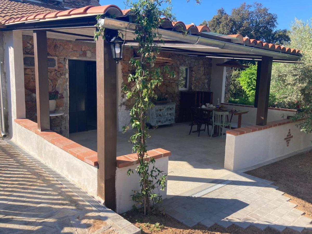 Mas Picagnol Apartment Oms Exterior photo